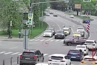 VIDEO: Tierno gesto de unos agentes para que unos patos crucen una carretera