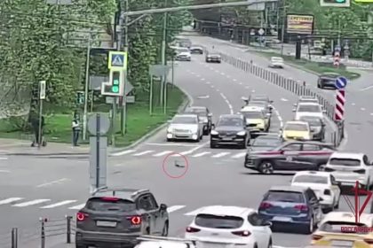 VIDEO: Tierno gesto de unos agentes para que unos patos crucen una carretera