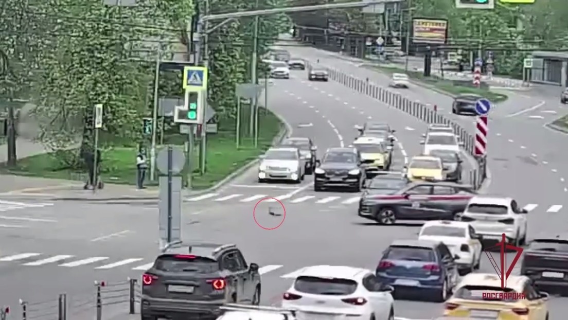VIDEO: Tierno gesto de unos agentes para que unos patos crucen una carretera