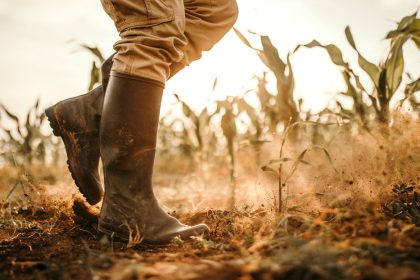 Mapean las olas de calor "sin precedentes" que afectaron a Latinoamérica