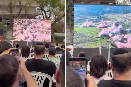Aplausos y risas: celebran en Israel la destrucción de aldeas al sur del Líbano (VIDEO)