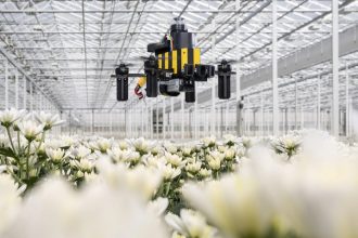 Inspirado en las abejas: presentan un revolucionario dron que navega sin GPS