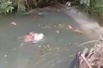 De la diversión al pánico en segundos: una represa artesanal cede y arrastra a un hombre (VIDEO)