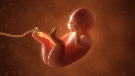 Imagen ilustrativa