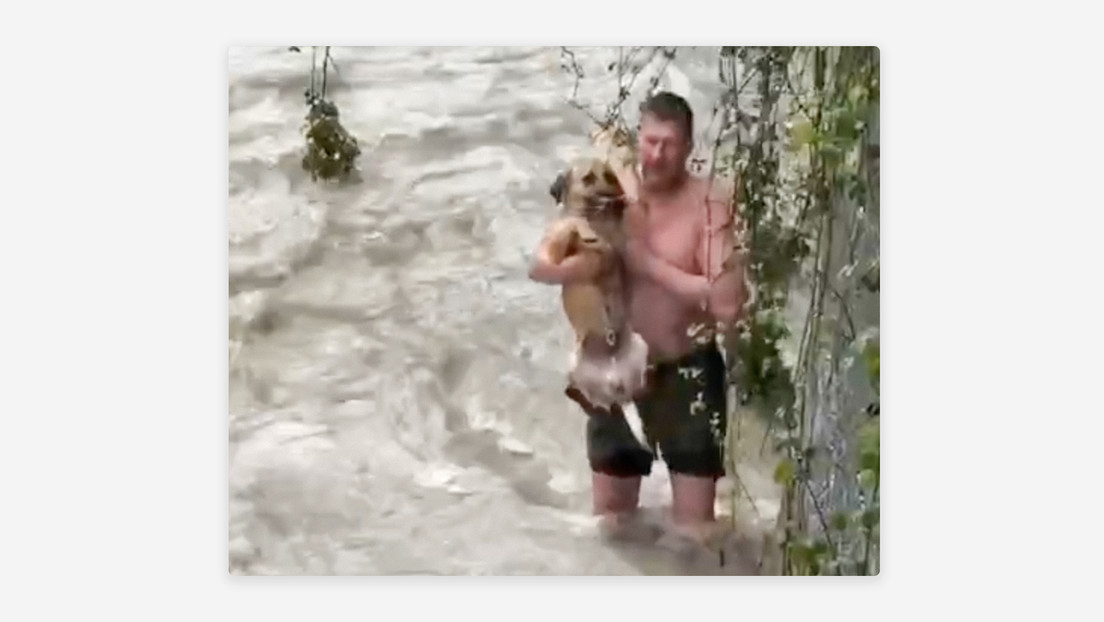 VIDEO: Salva a un perro de morir en un río embravecido