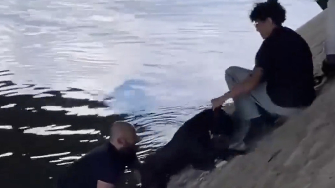 El conmovedor gesto de transeúntes parisinos con un perro atrapado en el río (VIDEO)