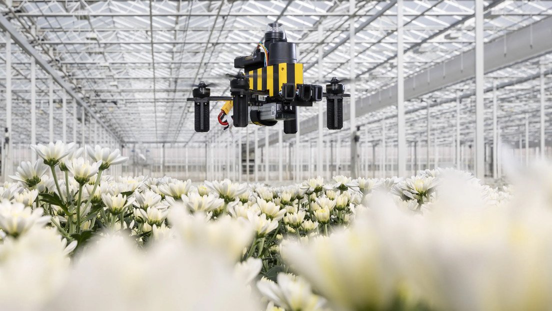 Inspirado en las abejas: presentan un revolucionario dron que navega sin GPS
