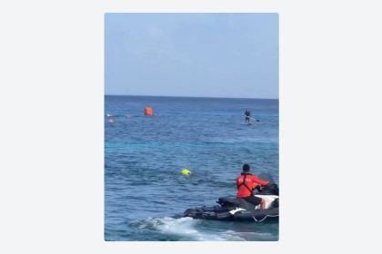 VIDEO: Cocodrilo irrumpe en una competición de natación infantil en México