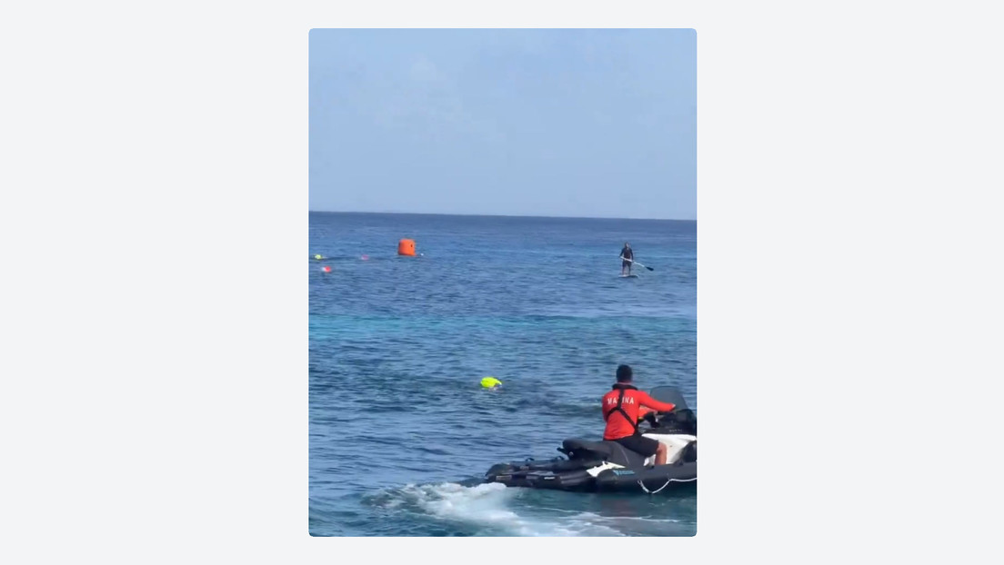 VIDEO: Cocodrilo irrumpe en una competición de natación infantil en México