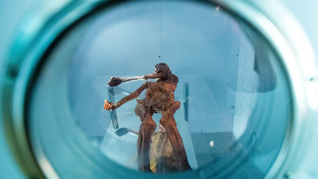 'Hombre de hielo' desconcierta a la ciencia con una sorpresa en sus entrañas