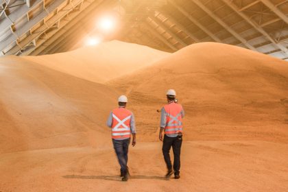 Suben los precios del azúcar: el inesperado giro en la producción brasileña que sacude el mercado