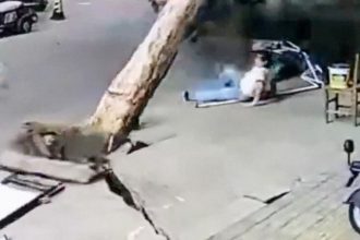 VIDEO: Fuerte viento arranca un árbol del suelo y cae cerca de una mujer