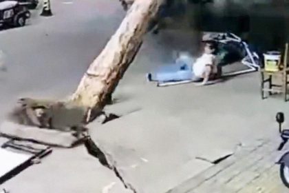 VIDEO: Fuerte viento arranca un árbol del suelo y cae cerca de una mujer