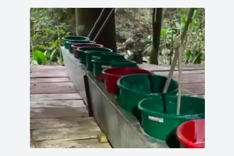 Destruyen en Colombia un "megalaboratorio" que producía hasta tres toneladas de cocaína mensuales (VIDEO)