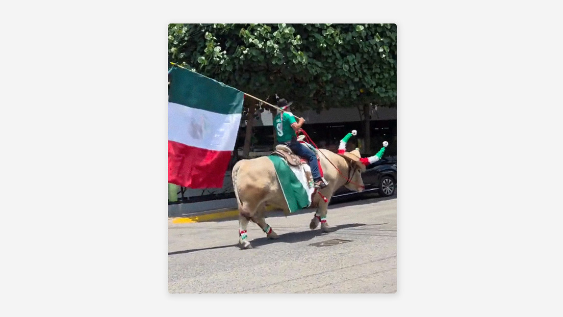 VIDEO: Hincha saca a pasear a un toro para alentar a la selección de México