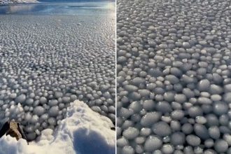 VIDEO: miles de esferas de hielo cubren una laguna en un fenómeno natural impresionante