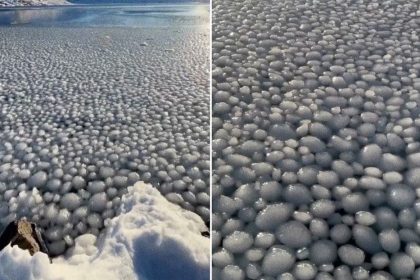 VIDEO: miles de esferas de hielo cubren una laguna en un fenómeno natural impresionante