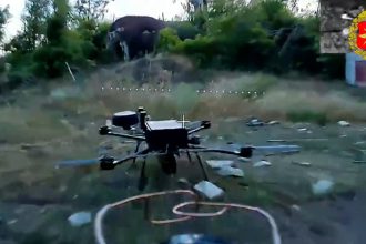 En el aire y en tierra: así aniquilan los drones rusos a los aparatos enemigos (VIDEO)