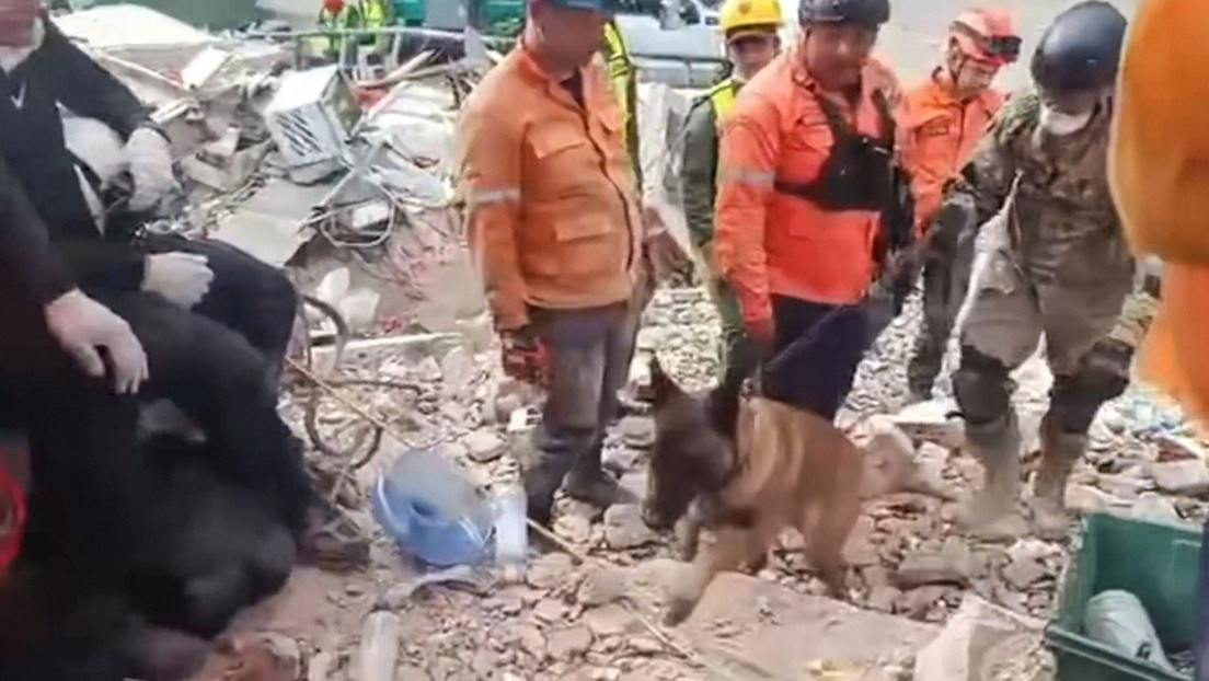 VIDEO: Hallan a dos menores con vida bajo escombros en Venezuela gracias a perro rescatista