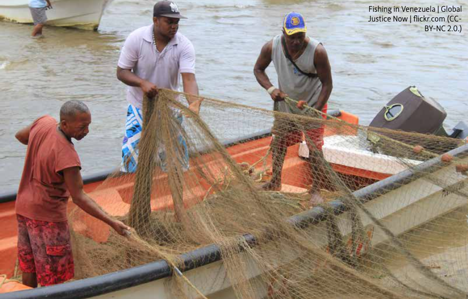 Pescadores en plena faena