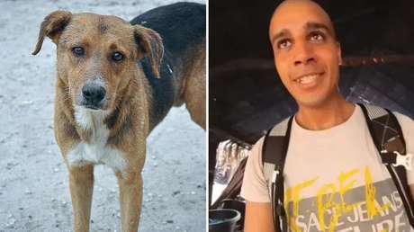 'Youtuber' despelleja y se come a un perro callejero en un video "impactante"