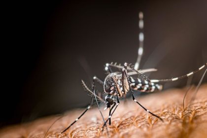 Revelan un factor que acelera la propagación del dengue en la Amazonía