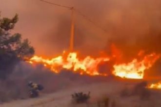 CHOCANTES IMÁGENES: Devastadores incendios arrasan el sur de España