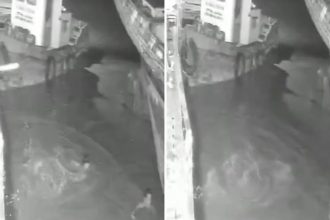 ATERRADOR ATAQUE: cocodrilo atrapa a un hombre en la oscuridad (VIDEO)