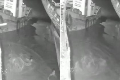 ATERRADOR ATAQUE: cocodrilo atrapa a un hombre en la oscuridad (VIDEO)