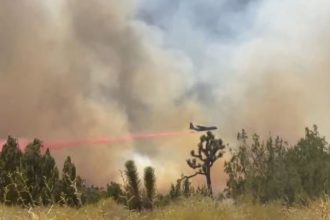 VIDEO: Devastadores incendios arrasan California