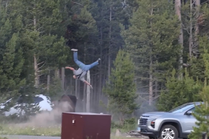 VIDEO: Un bisonte embiste y lanza por los aires a un hombre en EE.UU.