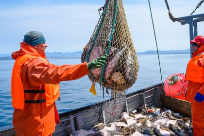 Pescado pone en apuros nuevo paquete de sanciones antirrusas