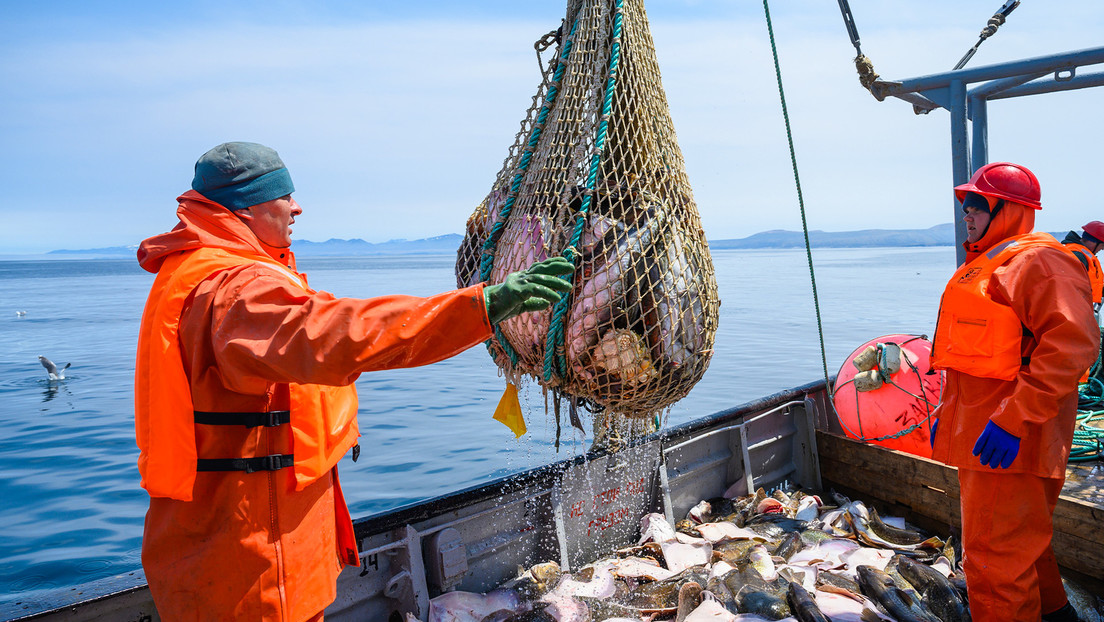 Pescado pone en apuros nuevo paquete de sanciones antirrusas