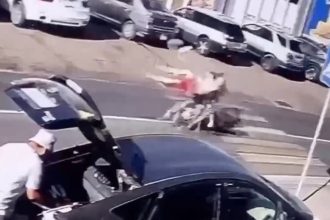 VIDEO: Un motociclista provoca un brutal choque a toda velocidad y se da a la fuga