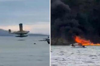 VIDEO: Un hidroavión estalla en llamas tras estrellarse en EE.UU.