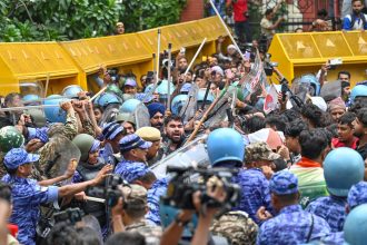 Protestas de las 'cucarachas': ¿a qué se deben las masivas movilizaciones en la India y por qué se llaman así?
