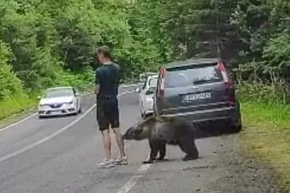 La insólita reacción de un hombre al ser mordido por un oso (VIDEO)