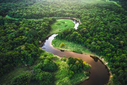 Hallan cientos de estructuras que "transforman por completo" lo que se creía de la Amazonía