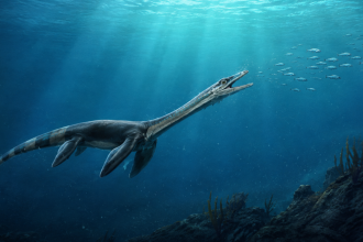 Un fósil de 245 millones de años de un reptil marino viene con un 'secreto' dentro