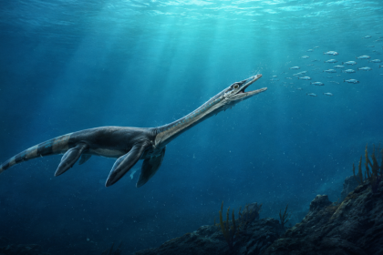 Un fósil de 245 millones de años de un reptil marino viene con un 'secreto' dentro