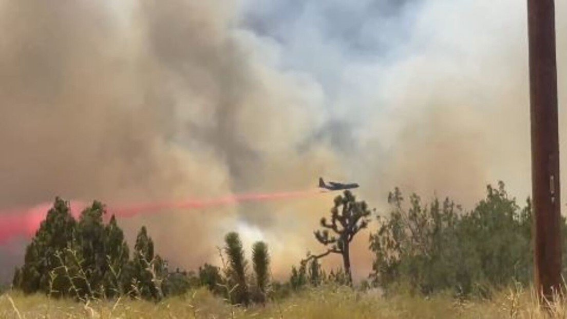 VIDEO: Devastadores incendios arrasan California