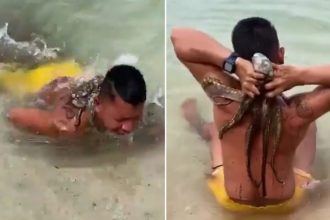 VIDEO: Va a nadar y regresa con un 'pasajero' inesperado en la espalda