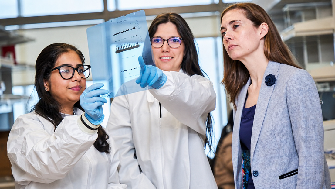 Un inesperado componente de la dieta podría favorecer la propagación del cáncer