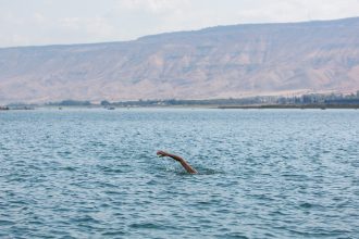 Lago bíblico cruza su 'línea roja': ¿es un peligro para Israel?
