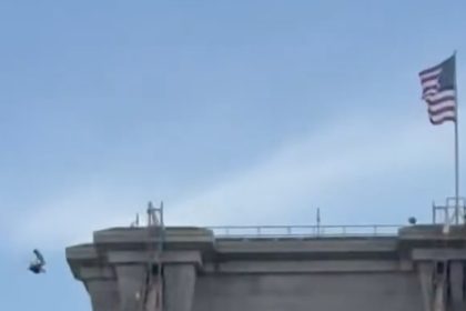 Hombre desnudo se lanza de icónico puente en EE.UU. (VIDEOS)