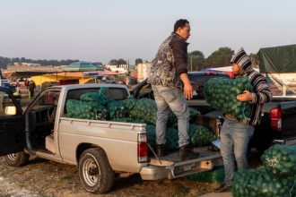 Alerta de seguridad de EE.UU. pone en riesgo importante rubro de exportación de México