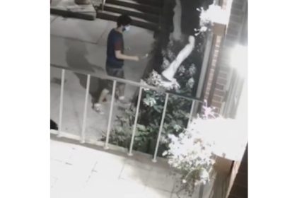 VIDEO: Hombre destruye a martillazos una estatua de la Virgen María