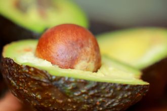 EE.UU. pone un freno las exportaciones de aguacate desde México por esta razón
