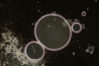 Una IA crea virus que no existen en la naturaleza