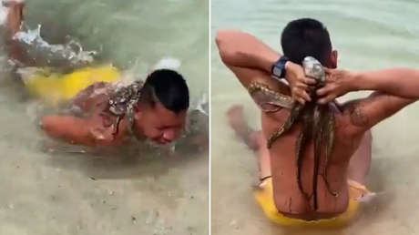 VIDEO: Va a nadar y regresa con un 'pasajero' inesperado en la espalda